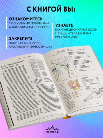 Анатомия йоги: атлас-раскраска. Визуальный гид по телу — от структуры к осознанной практике