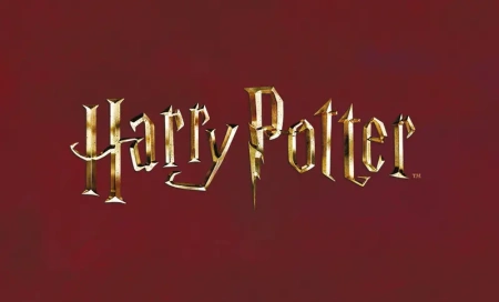 Кардхолдер. Платформа 9 и 3/4 (в форме книжки, 215х65 мм)