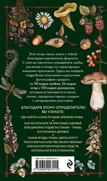 Лесной гид: грибы, ягоды, травы. Карманный атлас-определитель