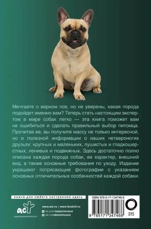 Собаки. Популярный иллюстрированный гид