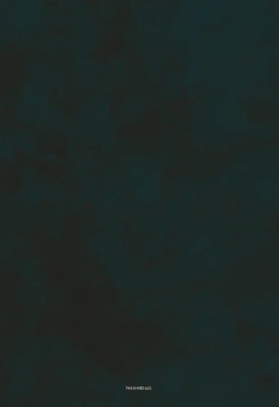 Обложка для паспорта. Фантастические твари. Чемодан