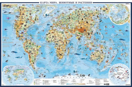 Карта мира для детей А0+ (очень большая; физическая)