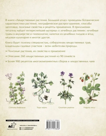 Лекарственные растения. Большой атлас