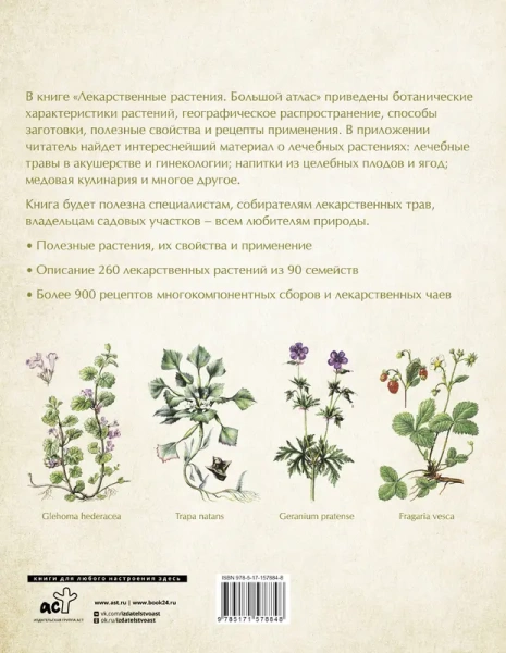 Лекарственные растения. Большой атлас