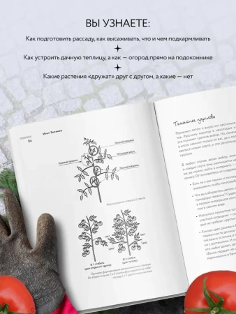 Дача Style, или огород для авантюристов. Как получить урожай, если вы еще не бабушка