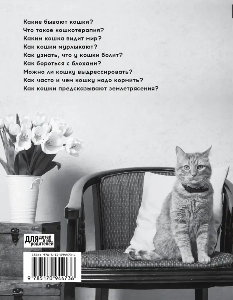 Кошка. Полное руководство по воспитанию и уходу
