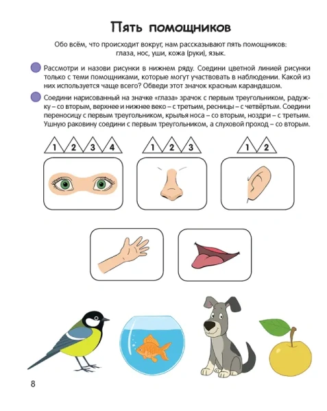 Умней-ка. 5-6 лет. Экологическая мозаика