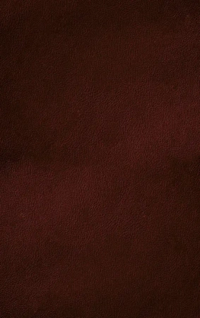 Библия. Книги Священного Писания Ветхого и Нового Завета. Подарочное издание с закрашенным обрезом