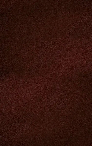 Библия. Книги Священного Писания Ветхого и Нового Завета. Подарочное издание с закрашенным обрезом