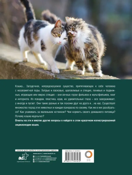 Кошки. Лучший иллюстрированный гид