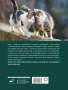 Кошки. Лучший иллюстрированный гид