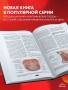 Фасциальный релиз для структурного баланса