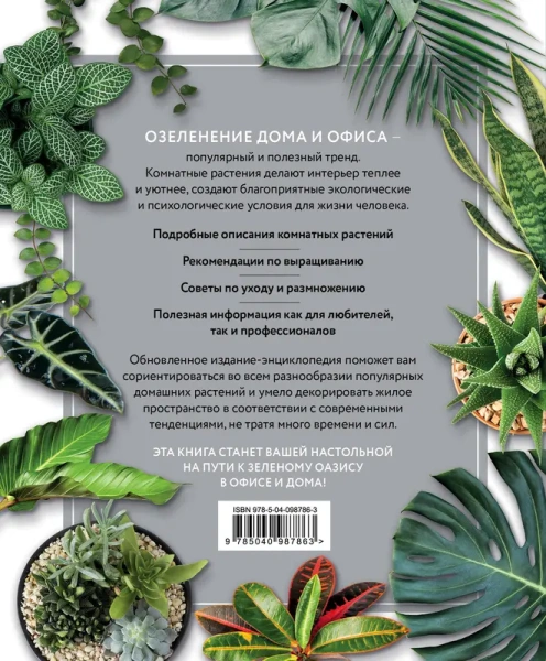 Зеленый оазис. Комнатные растения от А до Я